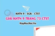 Giải KHTN 9 trang 73 Chân trời sáng tạo SGK